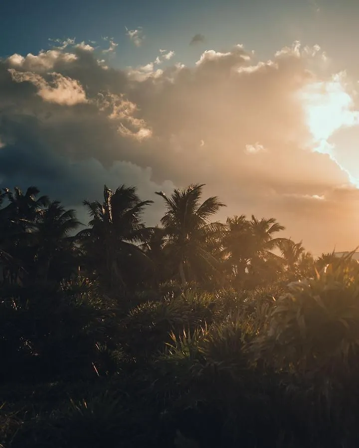 O' Tulum Boutique Hotel - Adults Only